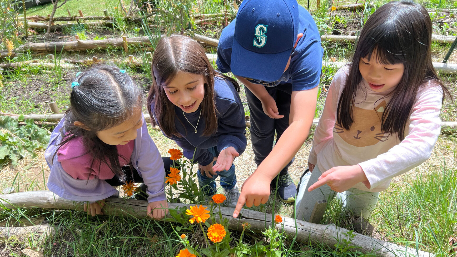 Students identifying flowers