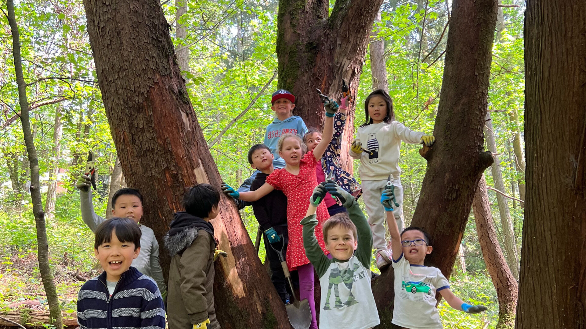 Students digging in woods
